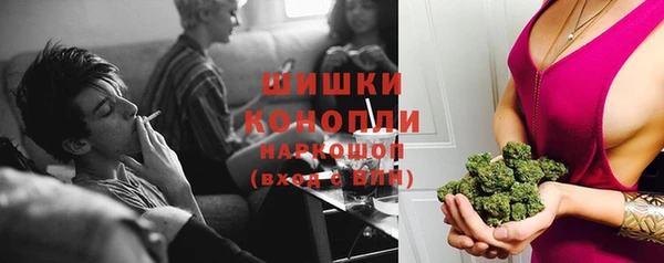 мдпв Козловка