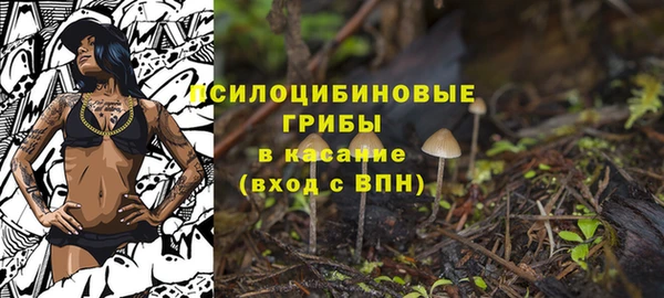мдпв Козловка